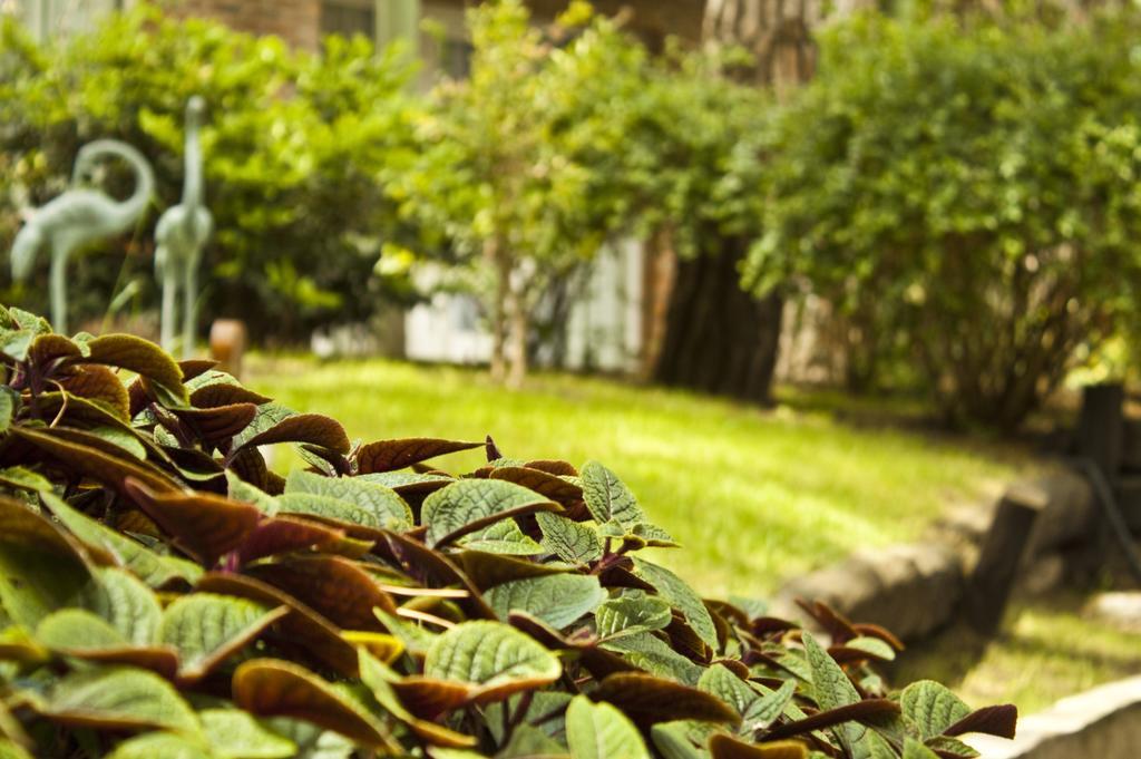 Carilo Village Apart Hotel & Spa Экстерьер фото